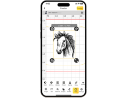 LDS APP