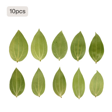 Hoja de Canela para Grabar (10 pzas.)
